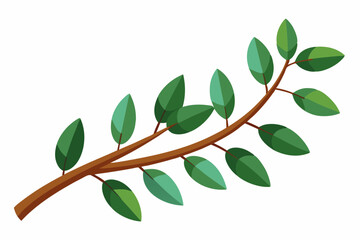 Large Horizontal Brown Branch with Green Eucalyptus Leaves on White Background