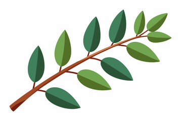 Large Horizontal Brown Branch with Green Eucalyptus Leaves on White Background