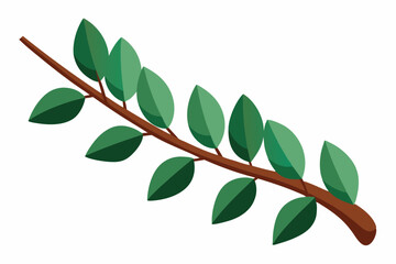 Large Horizontal Brown Branch with Green Eucalyptus Leaves on White Background