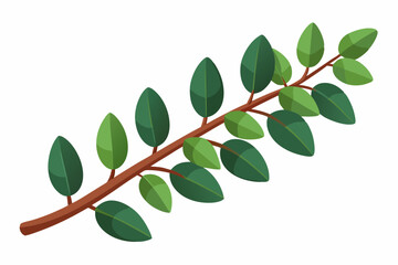 Large Horizontal Brown Branch with Green Eucalyptus Leaves on White Background