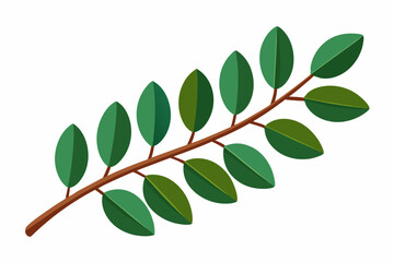 Large Horizontal Brown Branch with Green Eucalyptus Leaves on White Background