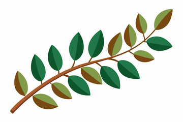 Large Horizontal Brown Branch with Green Eucalyptus Leaves on White Background