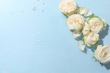 Beautiful rose flowers in water on light blue background, top view. Space for text