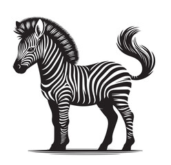 zebra vector illustration