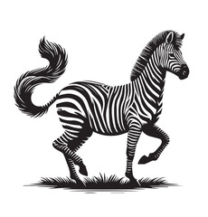 zebra vector illustration