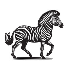 zebra vector illustration
