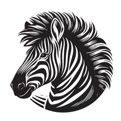 zebra vector illustration