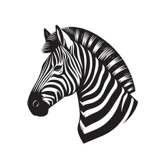 zebra vector illustration