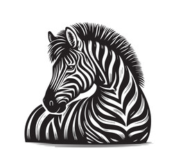 zebra vector illustration