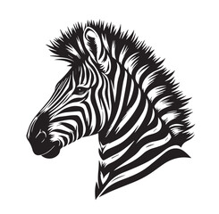 zebra vector illustration