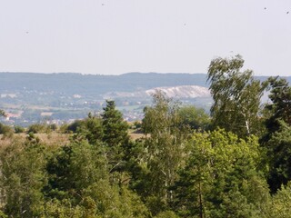 Eine Wanderung von Braunsrode zur Hängeseilbrücke über das Bärental in der Hohen Schrecke