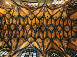 Magnifique plafond de la cathédrale de Berne en Suisse