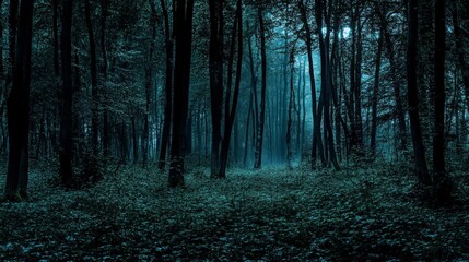 Obraz premium Under the cover of night, a dense forest reveals tall, shadowy trees bathed in faint moonlight, creating an atmosphere of mystery and intrigue