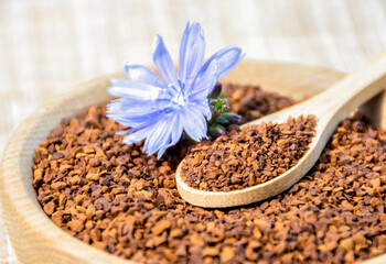 Ground chicory root on a wooden spoon and chicory flowers on a rustic wooden background. Alternative medicine. Healthy drinks. chicory drink