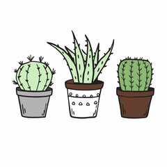 Hand drawn three cactus and aloe in pots illustration on a isolated white background (4)