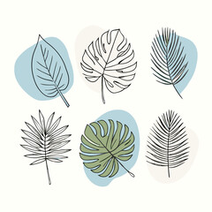 Set of hand drawn palm and monstera leaves on a isolated white background (6)