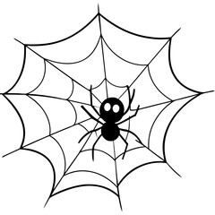 Obraz premium spider and web