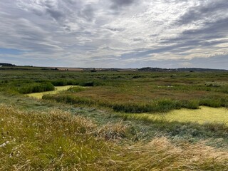 Fototapeta premium Landscape view of beautiful nature reserve for bird watching wildlife lakes in marsh land by ocean in Cley Next the Sea Norfolk East Anglia uk reeds grass by water lake on Summer day blue cloud skies