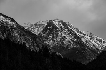 mountain black and white with snow and forest