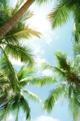 Fototapeta premium Looking up at palm trees against a bright blue sky.