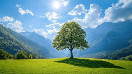 A solitary tree stands majestically in a vibrant green meadow, surrounded by stunning mountain landscapes under a bright blue sky.