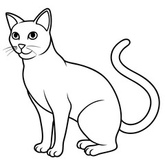 Black and white cat with white background generative AI.