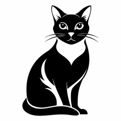 Black and white cat with white background generative AI.