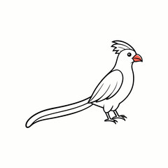 illustration of a bird
