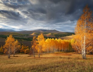 Fototapeta premium Vibrant Autumnal Landscape with Birch Trees and Distant Hills under Dramatic Sky