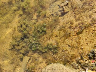 Serenity of Nature: A Lone Rock Amidst Tranquil Waters, Symbolizing Strength and Resilience