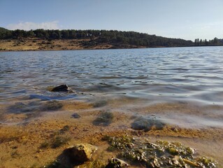 Fototapeta premium Serenity of Nature: A Lone Rock Amidst Tranquil Waters, Symbolizing Strength and Resilience