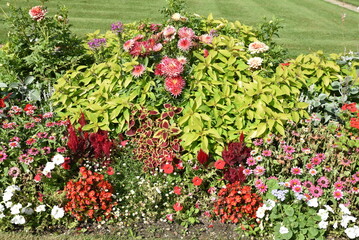 Plates-bandes fleuries en été au jardin du Luxembourg à Paris. France