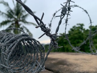 barbed wired fencing
