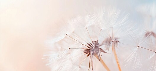 Dandelion Flower Close-Up with Fluffy Seeds. AI generated illustration