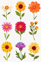 A collection of colorful flowers on a plain white background