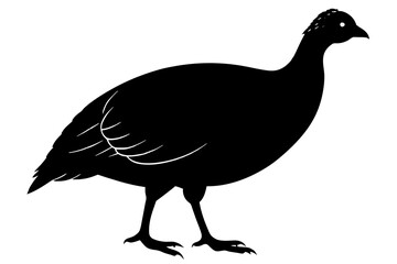 Solid black Guinea Fowl animal vector