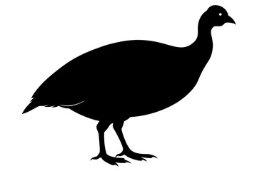 Solid black Guinea Fowl animal vector