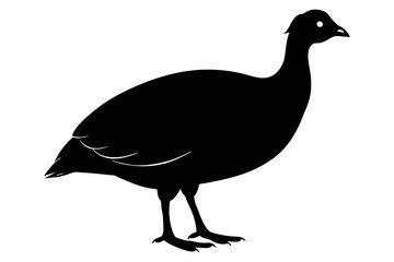 Solid black Guinea Fowl animal vector