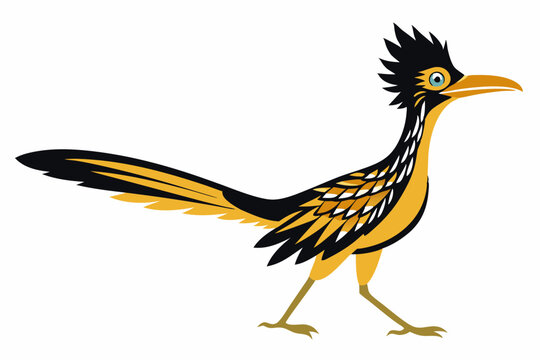 recommend clip art: Greater roadrunner silhouette vector illustration. male roadrunner
