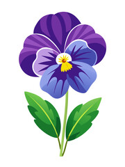illustration of flower, Pansy flower isolated on white background, Pansy illustration, Pansy flower vector