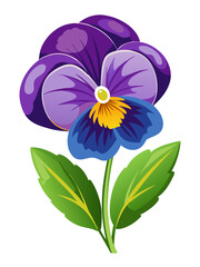 illustration of flower, Pansy flower isolated on white background, Pansy illustration, Pansy flower vector