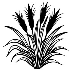 Reed  Art art vector illustration