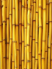 Naklejka premium Vibrant yellow bamboo stalks create a natural wall in sunny daylight