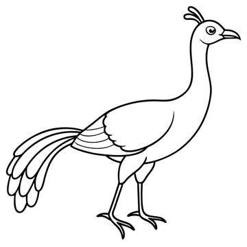 recommend clip art: Lyrebird Line Art Vector Design