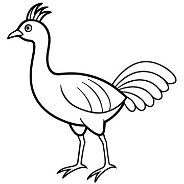 recommend clip art: Lyrebird Line Art Vector Design