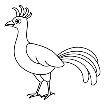 recommend clip art: Lyrebird Line Art Vector Design