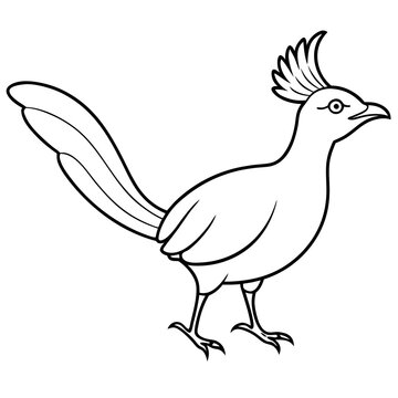 recommend clip art: Lyrebird Line Art Vector Design
