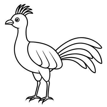 recommend clip art: Lyrebird Line Art Vector Design