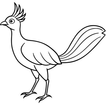 recommend clip art: Lyrebird Line Art Vector Design