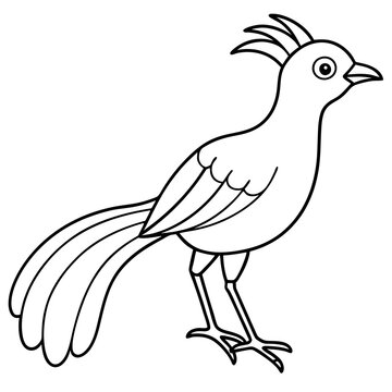 recommend clip art: Lyrebird Line Art Vector Design